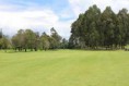 /album/fotogaleria-el-campo-de-juego/foto-4-jpg/